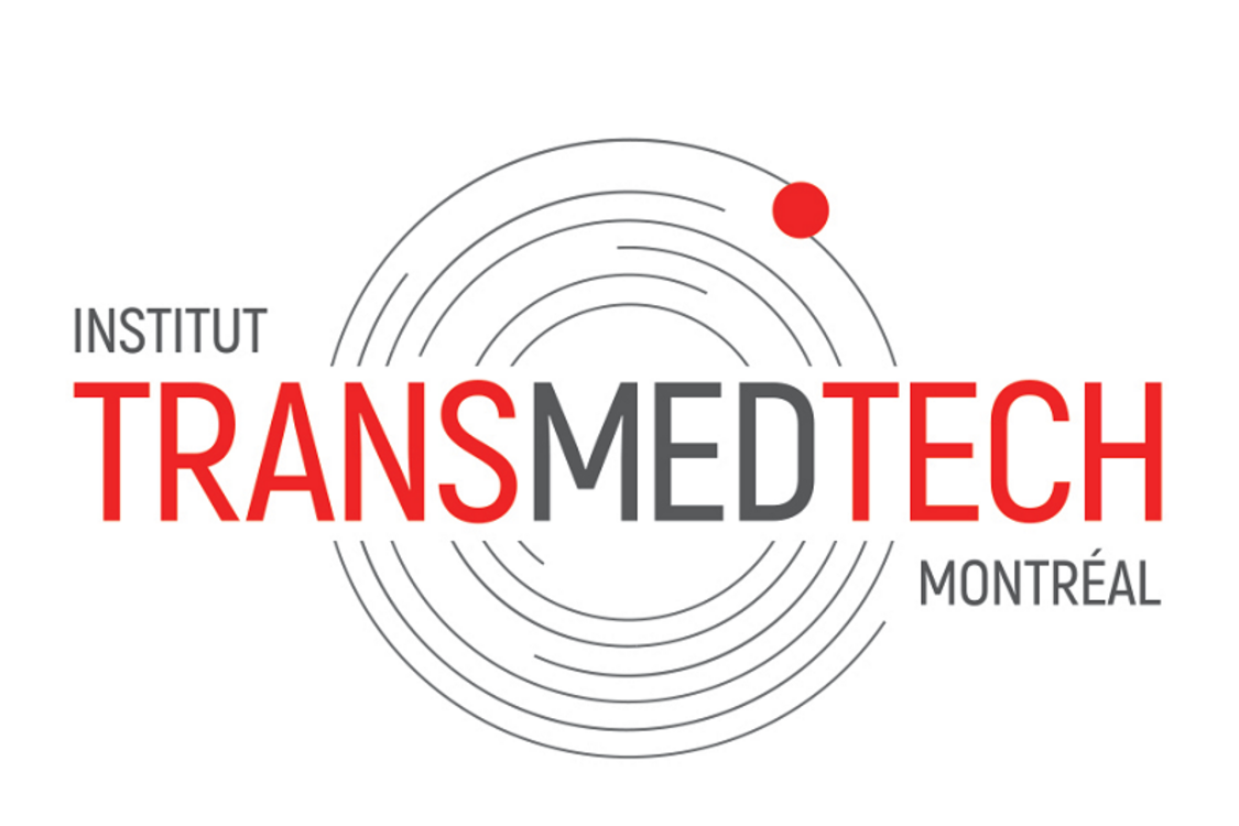 Institut TransmedTech
