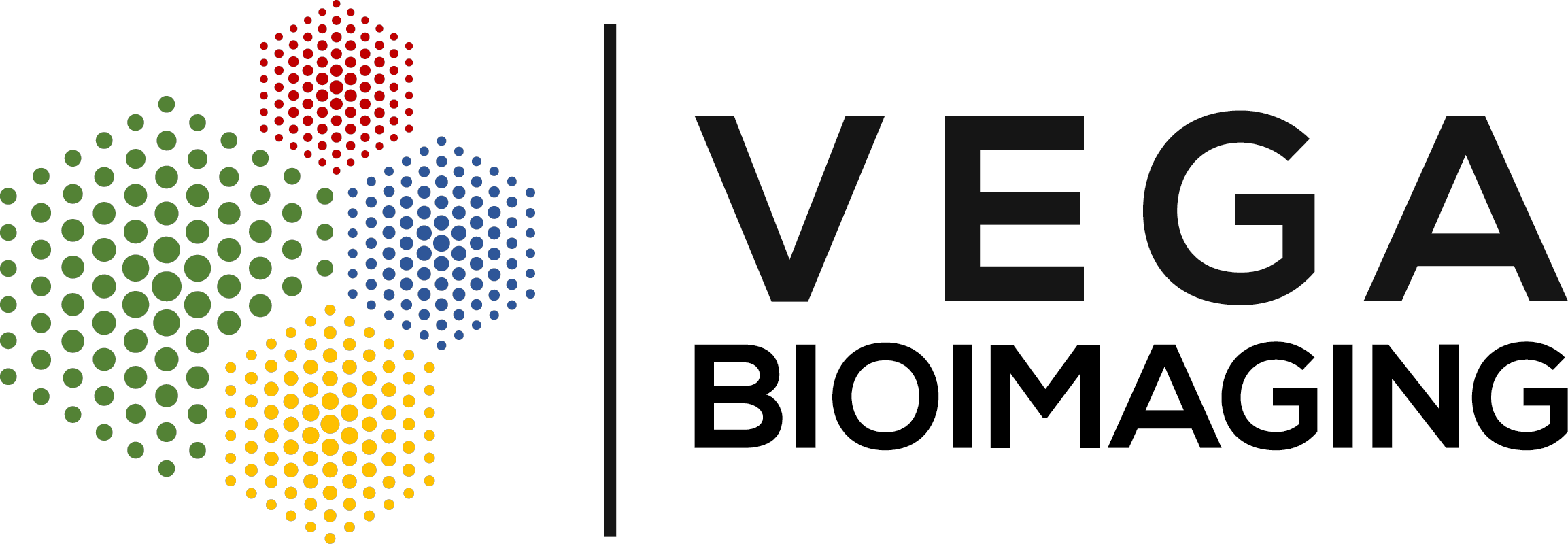 Logo Vega BioImaging